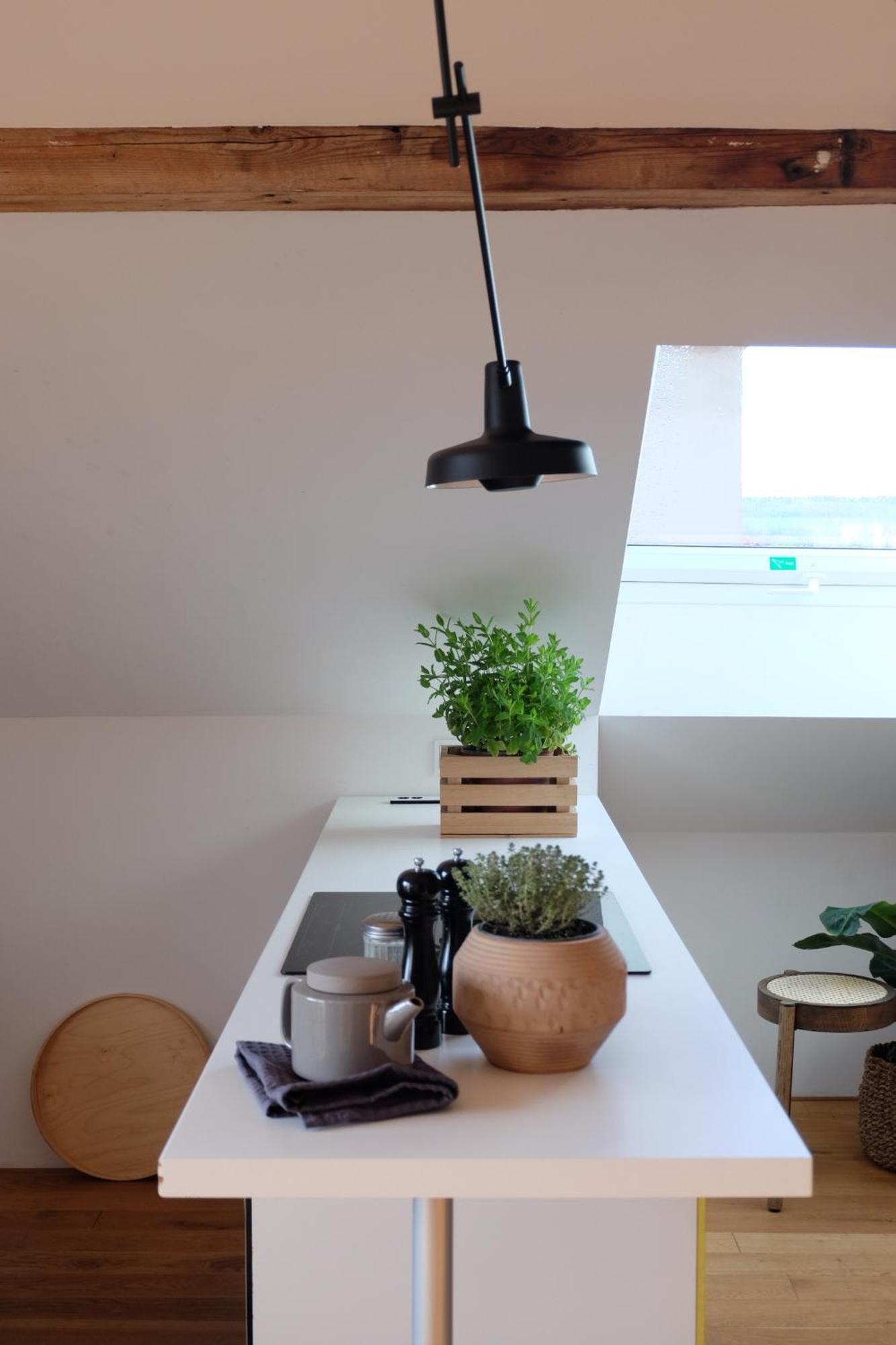 Design Apartments "Hier War Goethe Nie" Веймар Екстер'єр фото